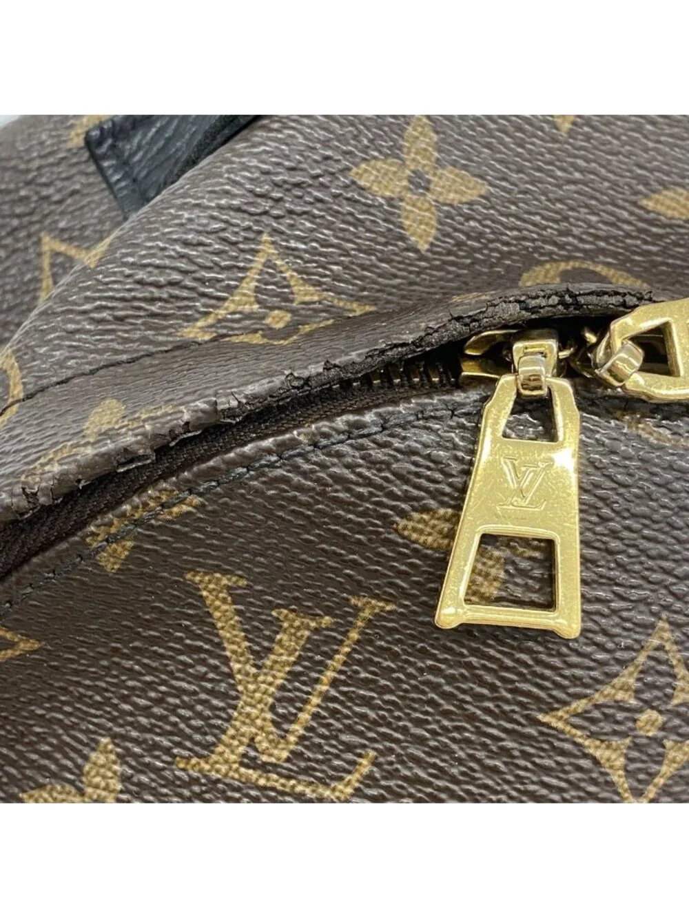 Louis Vuitton Backpack Monogram Palm Springs PM Brown